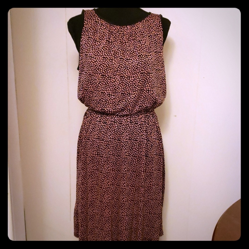 LOFT Anne Taylor size Medium dress nwt